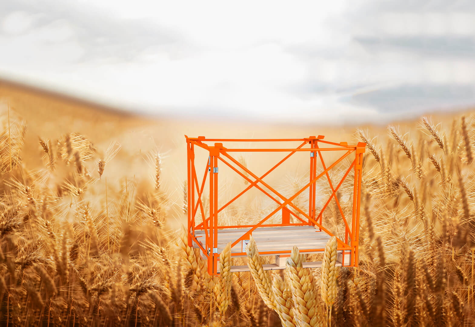 Additional cardboard inlay enables transport and storage of light seeds without plastic waste